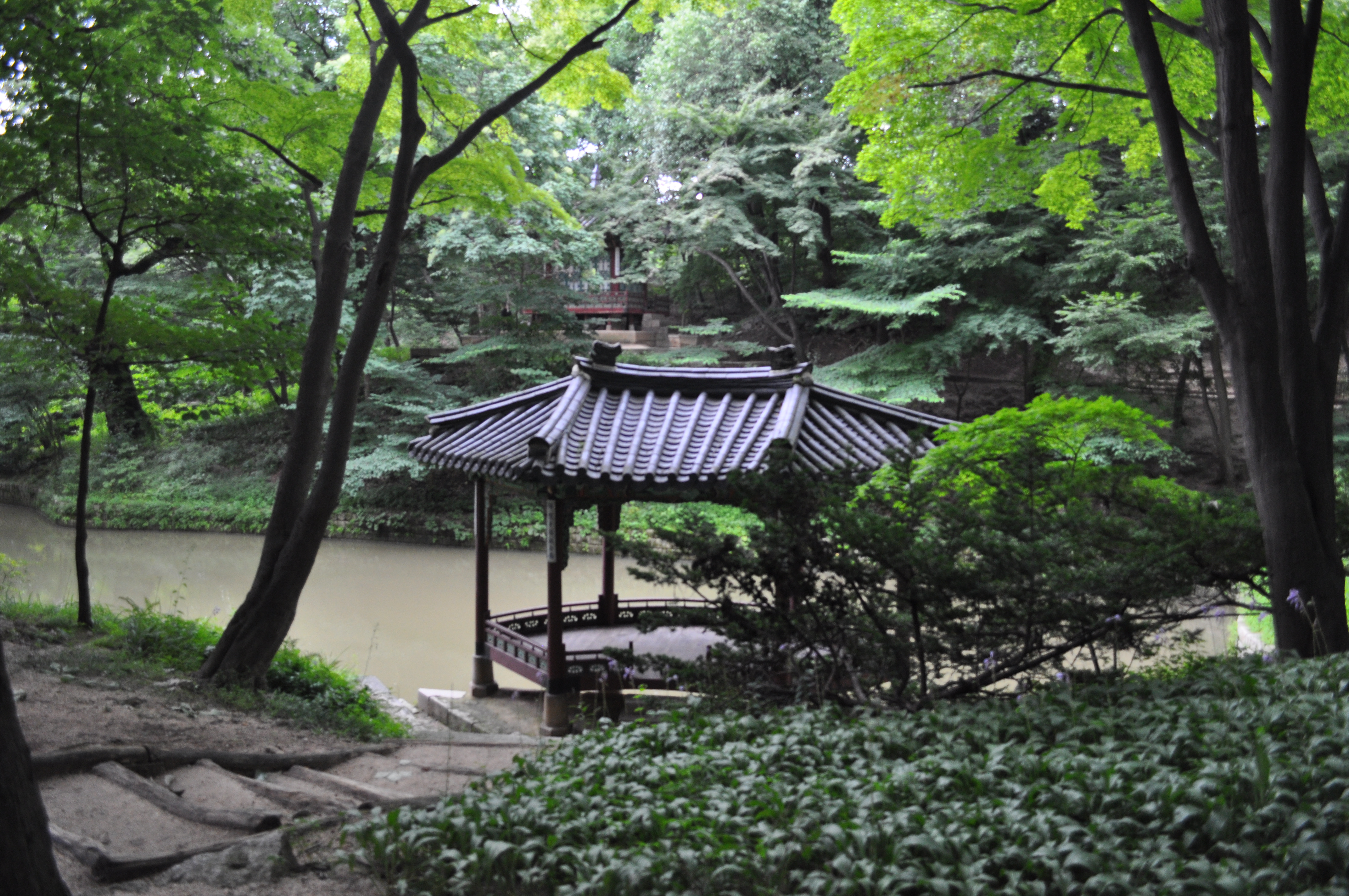 Jardines del Palacio Gyeongbokgung