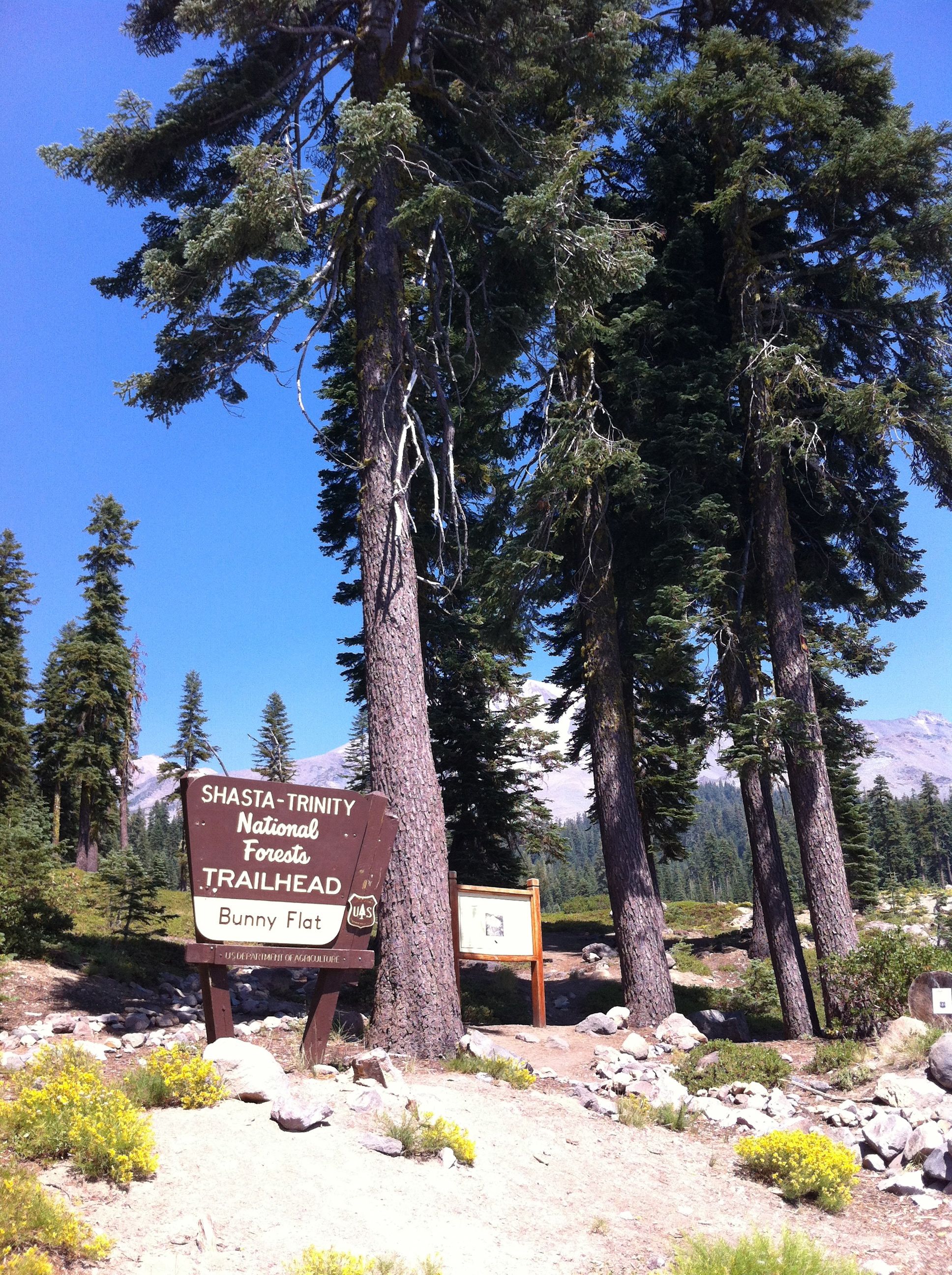 Parque Nacional Mount Shasta. California